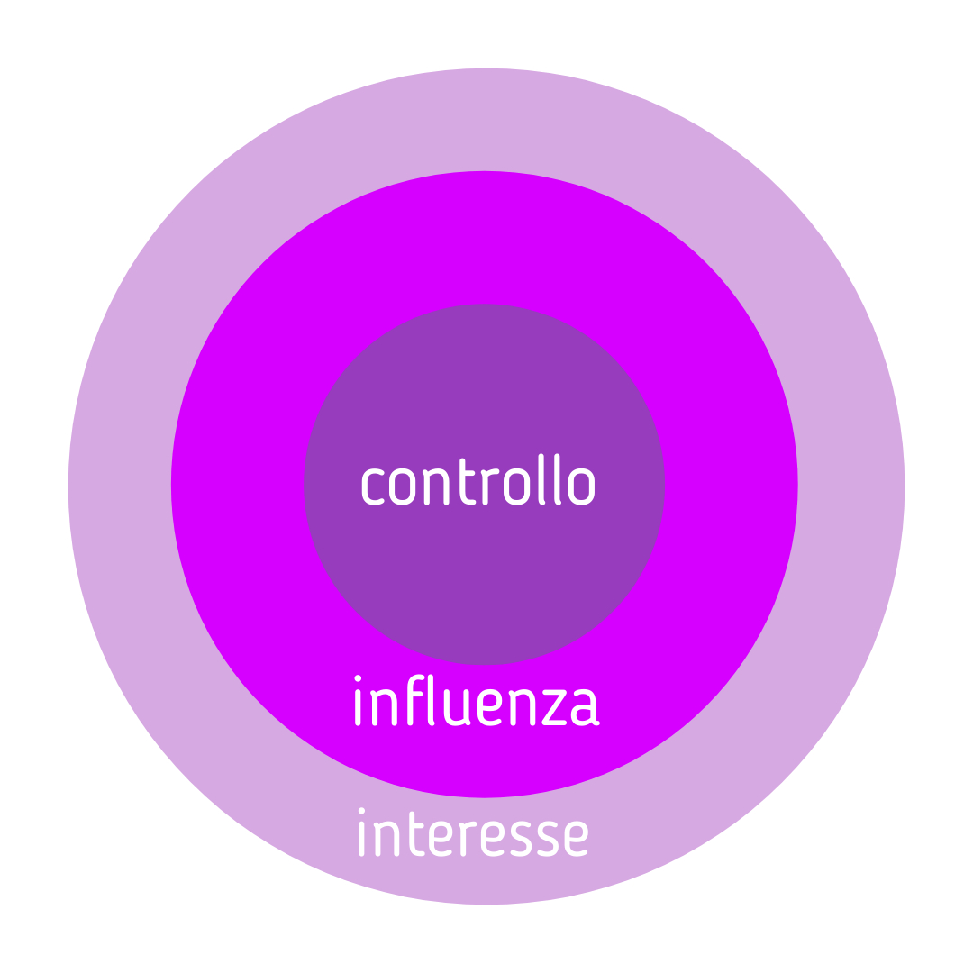 #9_articolo_Sfere sfera di interesse, sfera di influenza, sfera di controllo